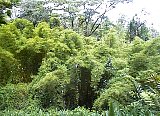 AUT_6950.JPG