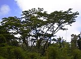 AUT_6951.JPG
