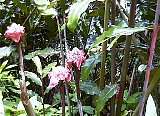 AUT_6952.JPG