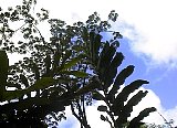 AUT_6953.JPG