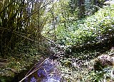 AUT_6956.JPG