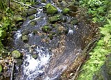 AUT_6958.JPG