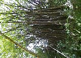 AUT_6959.JPG