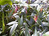 AUT_6976.JPG