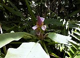 AUT_6982.JPG