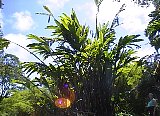 AUT_6984.JPG