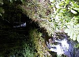 AUT_6989.JPG