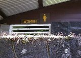 AUT_6991.JPG