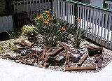AUT_7005.JPG