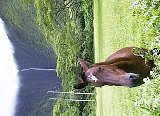 AUT_7028.JPG