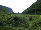 AUT_7029.JPG