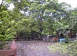 AUT_7032.JPG