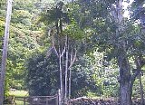AUT_7035.JPG