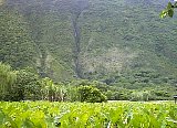 AUT_7039.JPG