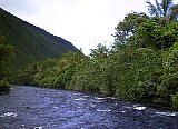 AUT_7040.JPG