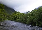 AUT_7041.JPG
