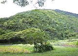 AUT_7042.JPG