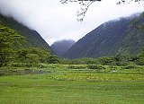 AUT_7043.JPG