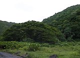 AUT_7045.JPG