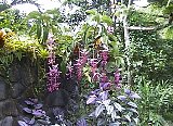 AUT_7050.JPG