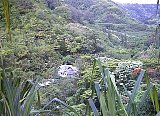 AUT_7063.JPG