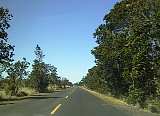 AUT_7071.JPG
