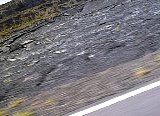 AUT_7114.JPG