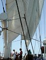 DSCN3582a.jpg